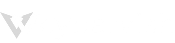 CyberVish